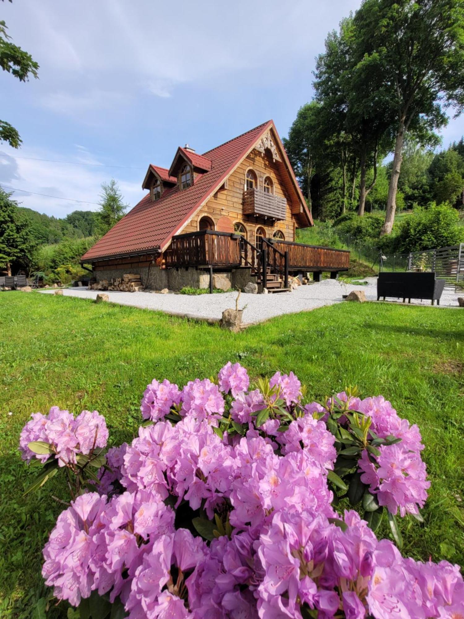 Forest Camp Dom W Gorach Sowich Michalkowa المظهر الخارجي الصورة